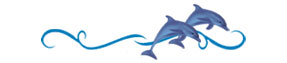 dolphin watching cruises