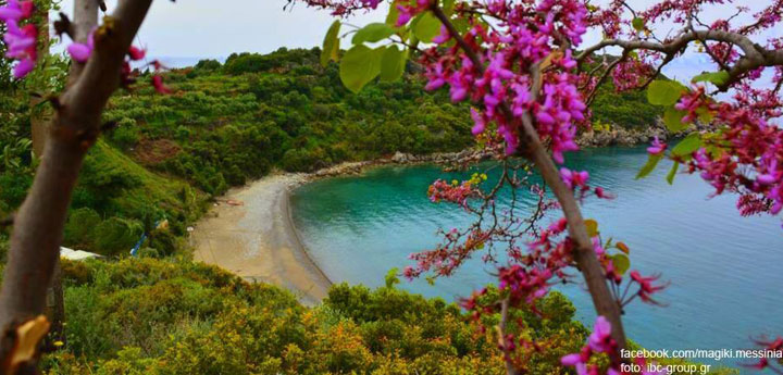boat tour Day trip to Kardamili Messinia