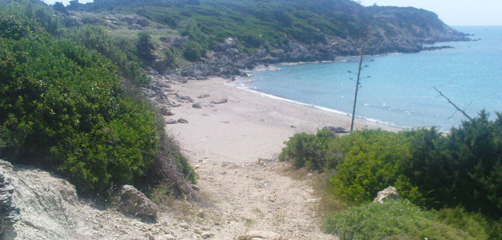 day trip to Strofadia Islands Messinia dolphin watching