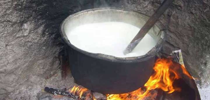 feta cheese making tour