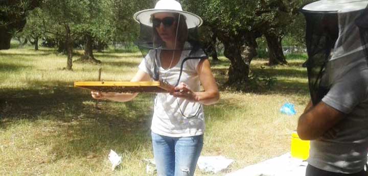 local greek honey Kalamata