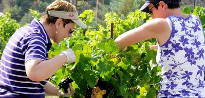 learning self sufficiency tour