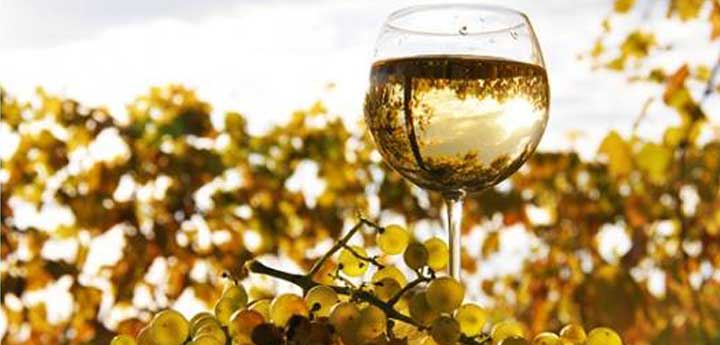 winery tour tasting
