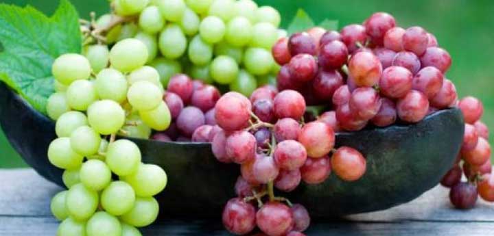 wine tasting tours