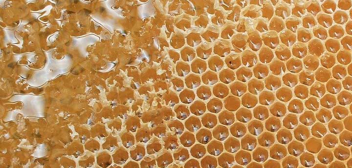 Greek honey