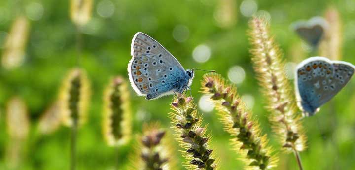 eco tour in Kalamata Messinia