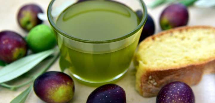 olive oil farm tour