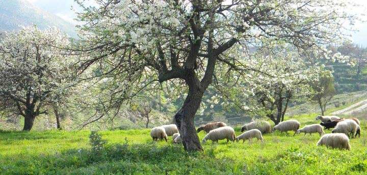 walking tours kalamata