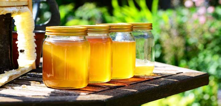 honey making tour